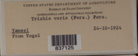 Image Associated With the Occurence